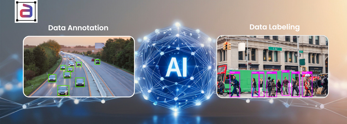 Data Annotation vs Data Labeling