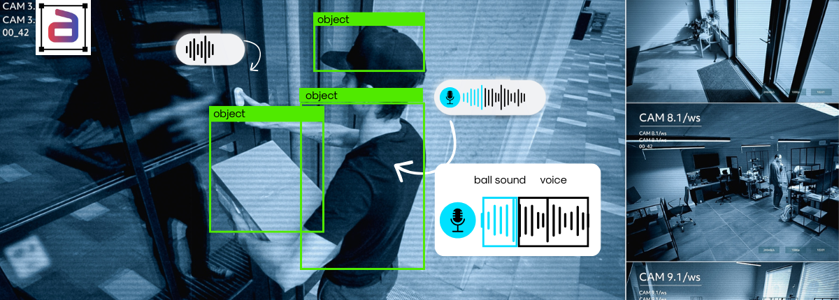 Multimodal Data Annotation Services