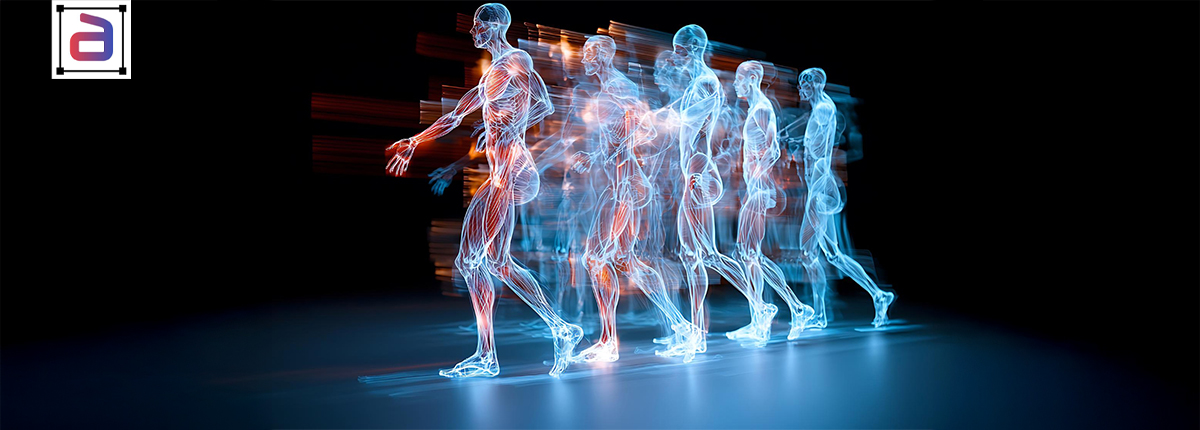 Human skeletal annotation services