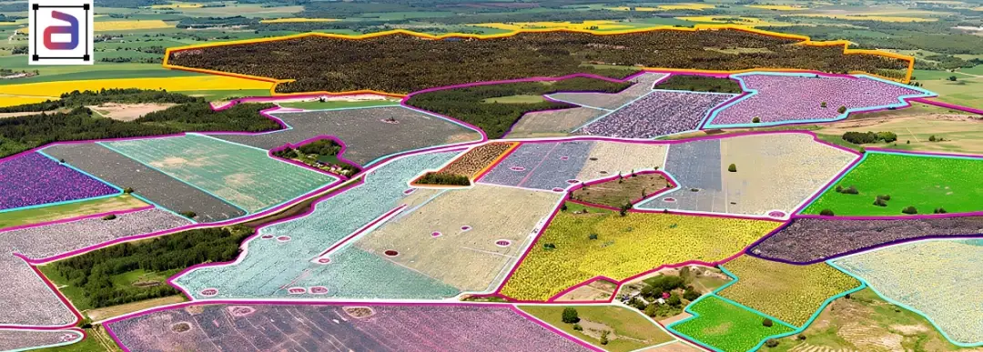 Polygon video labeling